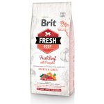Brit Fresh Beef with Pumpkin Puppy Large 12 kg – Hledejceny.cz