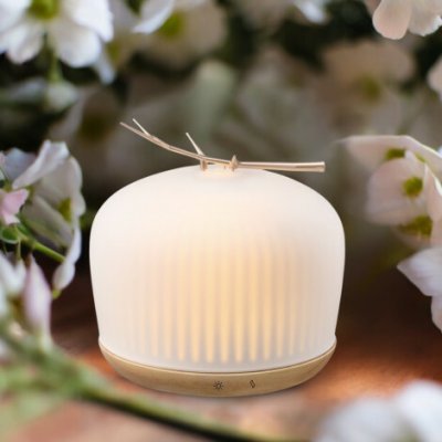 Zen Arome Ultrazvukový difuzér Origin dřevo & sklo – Hledejceny.cz