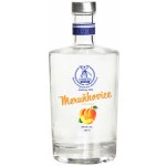 Palírna u Větrného Mlýna Meruňkovice 50% 0,5 l (holá láhev) – Zboží Dáma