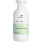 Wella Care Elements Shampoo 250 ml – Zbozi.Blesk.cz