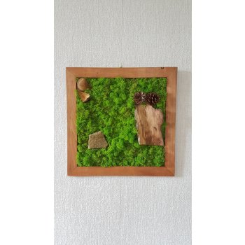 Mechový obraz s dekoracemi 50cm x 50cm