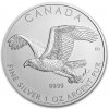 Royal Canadian Mint Orel bělohlavý Birds of Prey 1 Oz