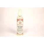 Lavosept K Citron dezinfekce ploch a nástrojů roztok na mytí pro profesionální použití více jak 75% alkoholu 200 ml rozprašovač – Zboží Dáma