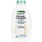 Garnier Botanic Therapy Disney Kids 2v1 šampon & kondicionér Ledové království, Oat Delicacy 400 ml – Zboží Dáma