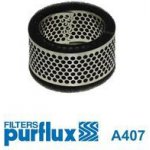 Vzduchový filtr PURFLUX A407 – Hledejceny.cz