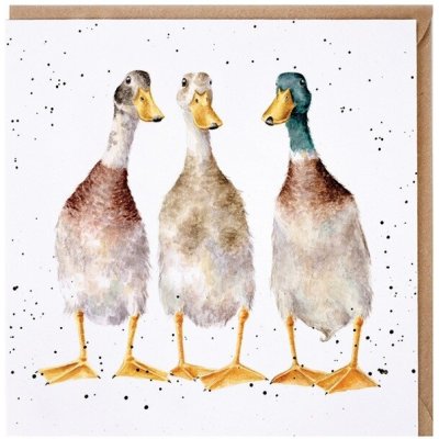 Přání "Tall Order", 15x15cm - Kachny – Hledejceny.cz