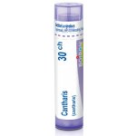 CANTHARIS POR 30CH GRA 1X4G – Hledejceny.cz