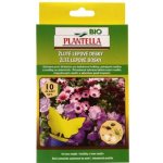 Desky lepové BIO PLANTELLA motýl 10ks – Zboží Dáma