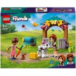 LEGO® Friends 42607 Mýval telat Autumn – Zbozi.Blesk.cz