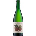 Van Nahmen Cidre sladký 2% 0,75 l (holá lahev) – Zboží Dáma
