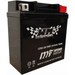 LTC BATE-14193 6V 10Ah – Sleviste.cz