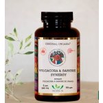 Uncaria Vilcacora & sangre synergy 90 kapslí – Hledejceny.cz