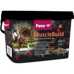 Pavo Muscle Build pro rychlý vývoj svalů pytel 3 kg – Hledejceny.cz