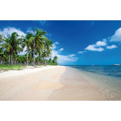 Dimex MS-5-3235 Vliesová fototapeta Vysoké palmy na pláži rozměry 375 x 250 cm – Zboží Mobilmania