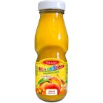 Terezia Company Rakytníček rakytník.nápoj broskev a med BIO 200 ml – Hledejceny.cz