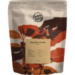 Instytut Kawy Institute Brazil Cerrado Espresso zrnková 1 kg – Hledejceny.cz