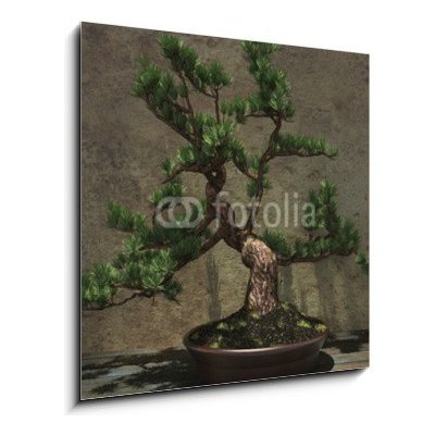 Obraz 1D - 50 x 50 cm - Decorative Bonsai Tree Dekorativní strom bonsai