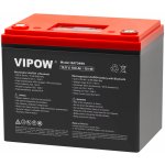 VIPOW 12V 100Ah – Zboží Mobilmania