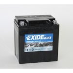 Exide AGM12-31 | Zboží Auto