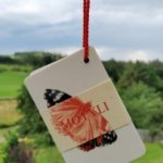 Motýli - kapesní atlas | Kateřina Kozlíková – Sleviste.cz