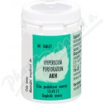 AKH Hypericum perforatum 60 tablet – Hledejceny.cz