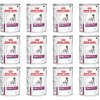 Konzerva pro psy Royal Canin Veterinary Diet Adult Dog Renal Special 12 x 410 g