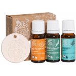 Tierra Verde Zimní sada BIO esenciálních olejů s odpařovačem 3 x 10 ml – Zboží Mobilmania
