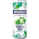 Amundsen + Soda bezinka 6% 0,25 l (plech) – Zboží Dáma