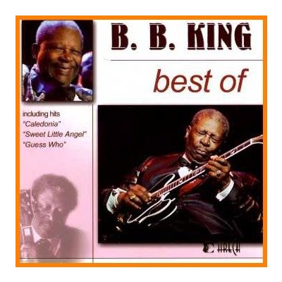 B.B. King - Best Of CD – Zboží Mobilmania