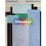 Geometrie myšlenek - František Kupka – Hledejceny.cz