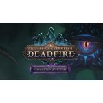 Pillars of Eternity 2: Deadfire - The Forgotten Sanctum – Hledejceny.cz