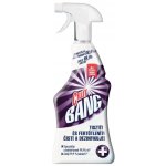 Cillit Bang Bleach & Hygiene univerzální čistič pro bělení a čistotu 750 ml rozprašovač – Sleviste.cz