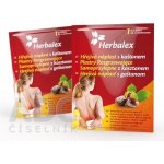 Herbalex Hřejivá náplast s kaštanem 1 ks – Hledejceny.cz