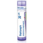 STAPHYSAGRIA POR 30CH GRA 4G – Hledejceny.cz