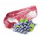 JK ANIMALS Adult Premium Paté Duck & Blueberry with Chunks 400 g – Hledejceny.cz