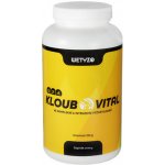 HCY Vitality KloubVital 320 g – Zboží Mobilmania