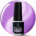 ENII NAILS Magnetický Gel lak Neon Diamond Cat Eye 2 Blueberry 5 ml