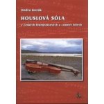 Houslová sóla v českých bluegrassových a country hitech + DVD – Hledejceny.cz