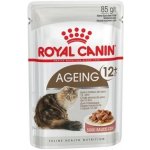 Royal Canin Feline Ageing 12 + Jelly 12 x 85 g – Hledejceny.cz