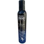 STUDIO 2000 TUŽIDLO NA VLASY 300 ml – Hledejceny.cz