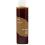 Isntree Green Tea Fresh Toner 200 ml – Zbozi.Blesk.cz