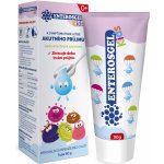 Enterosgel Kids 0+ 90 g – Hledejceny.cz