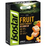 ISOSTAR HIGH ENERGY FRUIT BOOST 10 x 10 g – Sleviste.cz