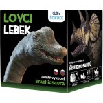 Albi Lovci lebek Brachiosaurus – Sleviste.cz