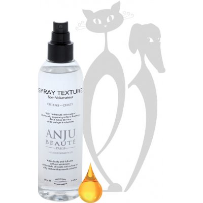 Anju Beauté Spray Texture sprej pro bohatý objem 250 ml – Zboží Dáma