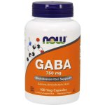 Now Foods Gaba 750 mg 100 rostlinných kapslí – Hledejceny.cz