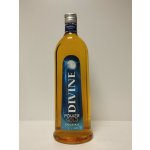 Boris Jelzin Power Gold 16,6% 1 l (holá láhev) – Hledejceny.cz