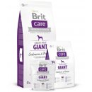 Brit Care Grain-free Giant Salmon & Potato 3 kg