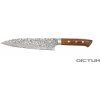 Kuchyňský nůž Dictum Japonský nůž Saji Hocho Gyuto Fish and Meat Knife 210 mm