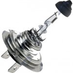 NTY (Balení 10 KS.) Halogenová Žárovka Halogen Bulb H1812V65W Standard/base Type: PY26D-1 (H18) – Hledejceny.cz